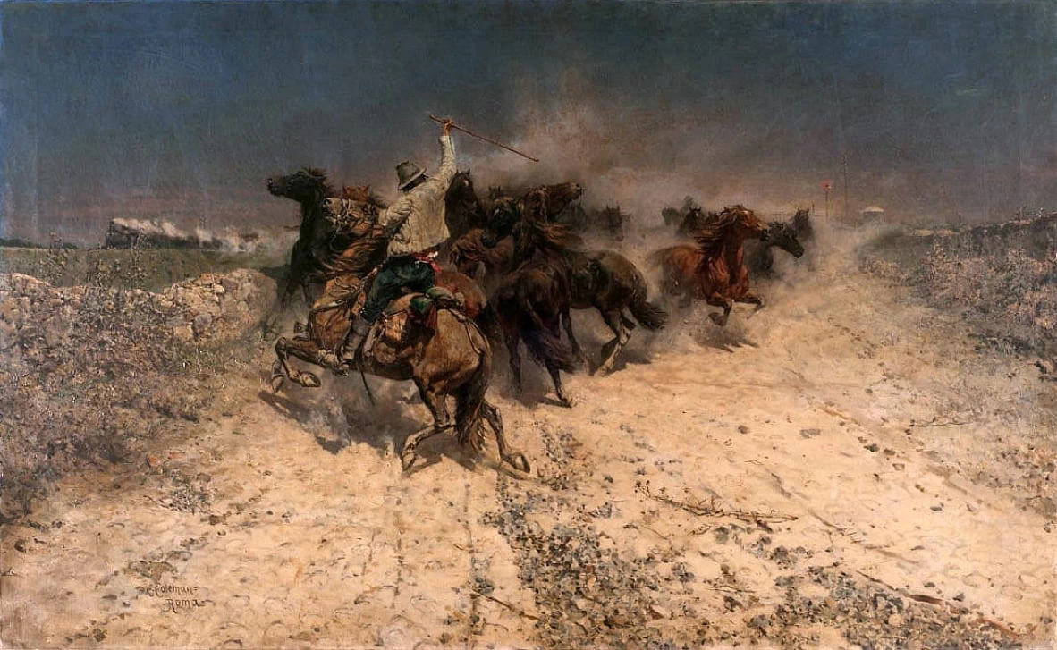 Panic Timor (allevamento di cavalli) 1